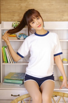 包青天狄龙版